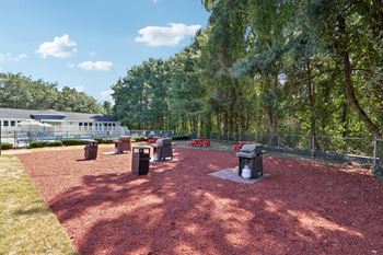 Park view